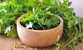 Coriander -Dhana