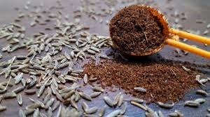 Cumin Powder