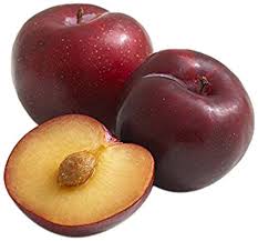 Plum