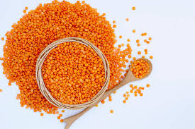 Red Lentil