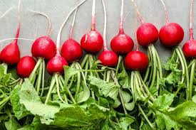 Red Radish