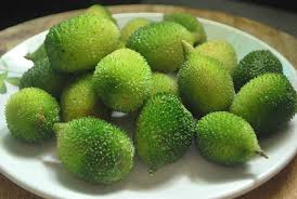 Spiny Gourd